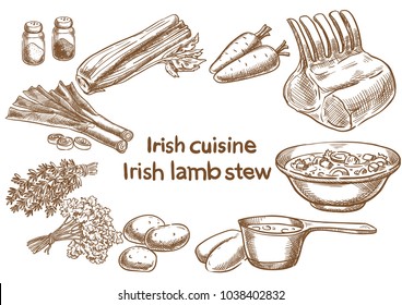 Irish cuisine. Irish lambstew ingredients. Sketch drawing.