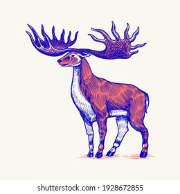 Irish elk or Giant deer or Great Horn. Prehistoric mammals. Extinct animal. Vintage retro vector illustration. Doodle style. Hand drawn engraved sketch