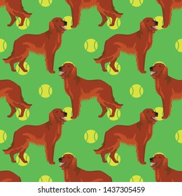 Irish red setter dog seamless pattern
