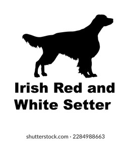 irish red and white setter Dog silhouette dog breeds