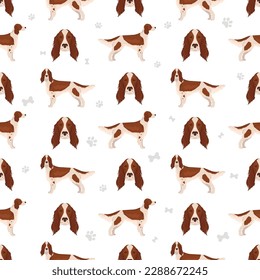 Patrón irlandés sin soldadura de setter rojo y blanco. Ilustración del vector