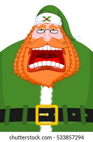 Irish Santa (Daddy of Christmas). Santa Claus Ireland ( Daidi na Nollag ) Irish language. Christmas old man in green clothes. Sprig of mistletoe on cap. Traditional New Year grandfather
