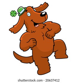 Irish Setter