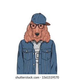 Irish Setter breed Hipster portrait. Fashion anthropomorphic dog illustration. Animal dressed up in jeans jacket, hoodie, cap and glasses. Modern urban city look. Hand drawn vector.