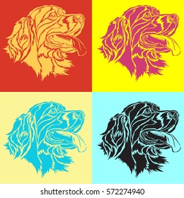 Irish setter dog head - vector illustration