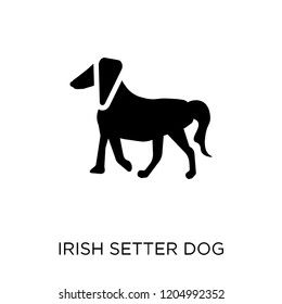 Irish Setter dog icon. Irish Setter dog symbol design from Dogs collection. Simple element vector illustration on white background.