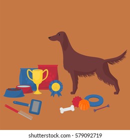 Irish setter with dog items. Pet care elements for grooming, walking and feeding