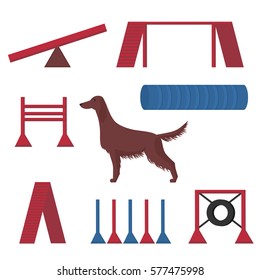 Irish setter in a dog show, competition items hoop, tunnel and pipes vector illustration