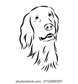 Setter irlandés, perro, ilustración de boceto de Vector