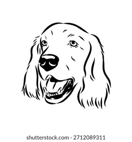 Irish Setter, dog, vector sketch illustration