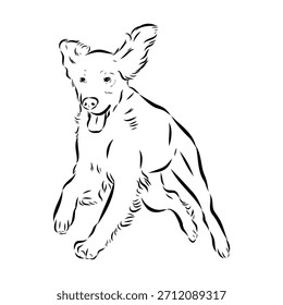 Setter irlandés, perro, ilustración de boceto de Vector
