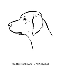 Setter irlandés, perro, ilustración de boceto de Vector