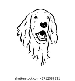 Setter irlandés, perro, ilustración de boceto de Vector