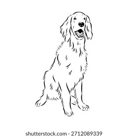 Setter irlandés, perro, ilustración de boceto de Vector