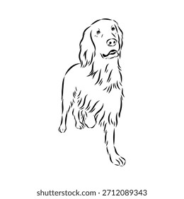 Setter irlandés, perro, ilustración de boceto de Vector