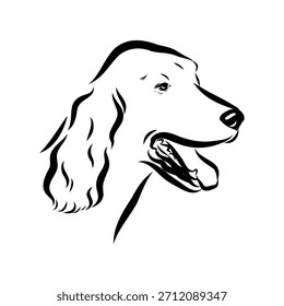 Setter irlandés, perro, ilustración de boceto de Vector