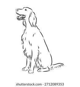 Setter irlandés, perro, ilustración de boceto de Vector