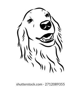 Setter irlandés, perro, ilustración de boceto de Vector