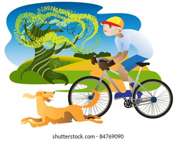 Irish Setter runs alongside a cyclist on the road along the field