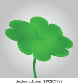 Irish shamrock isolated on white background Green clover symbol of a St Patrick day