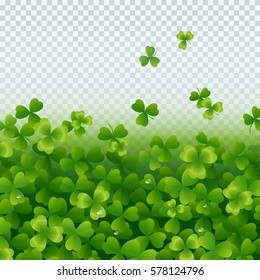 Irish shamrock leaves with pure water drops isolated on transparent background. Green irish symbol Good Luck. Vector clover pattern for Saint Patrick's Day holiday greeting card design