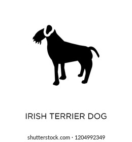 Irish Terrier dog icon. Irish Terrier dog symbol design from Dogs collection. Simple element vector illustration on white background.