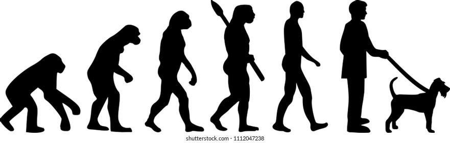 Irish Terrier evolution development with silhouette 