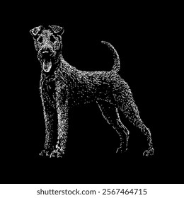 irish terrier hand drawing vector isolated on black background.