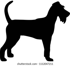 Irish Terrier Silhouette Real In Black