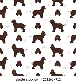 Irish water spaniel seamless pattern. Different poses, coat colors set.  Vector illustration