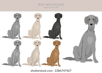 Irish wolfhound clipart. Different poses, coat colors set.  Vector illustration