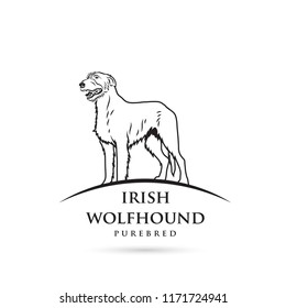 Irish wolfhound dog - isolated vector illustration