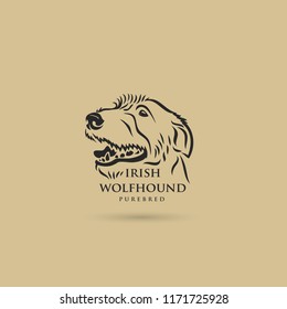 Irish wolfhound dog - isolated vector illustration