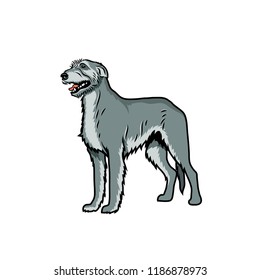 Irish wolfhound dog - isolated vector illustration