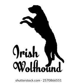 Irish Wolfhound dog silhouette, dog breeds, logo, vector, silhouette,  animal, illustration, icon, sign, design, black, symbol, pet, love
