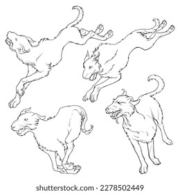 The Irish Wolfhound dogs pack in a different running positions. Set of black line drawings isolated on white background. EPS 10 vector illustration.