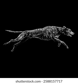 irish wolfhound hand drawing vector isolated on black background.