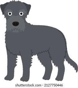 The Irish Wolfhound is a historic sighthound dog breed from Ireland. Irish wolfhound is most easily described by its historical motto, "gentle when stroked, fierce when provoked".