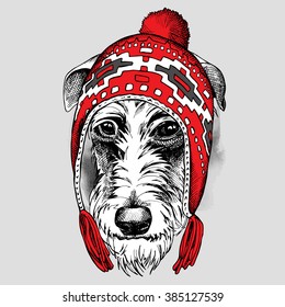 Irish Wolfhound portrait in a red chullo long knit hat. Vector illustration.