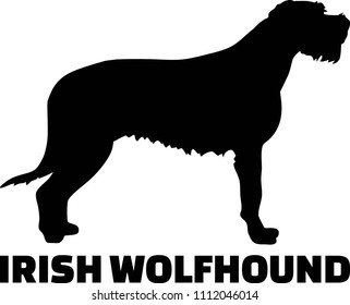 Irish Wolfhound silhouette real with word 