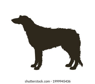 Silhouette irlandesa Wolfhound. Ilustración del vector aislada en fondo blanco