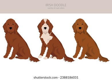 Irishdoodle clipart. Irish Setter Poodle mix. Different coat colors set.  Vector illustration