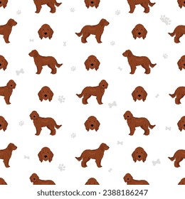 Irishdoodle seamless pattern. Irish Setter Poodle mix. Different coat colors set.  Vector illustration