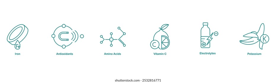 Iron, Antioxidants, Amino Acids, Vitamin C, Electrolytes, and Potassium Icons for Health Support