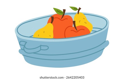 iron basin with handles for harvesting, filled with apples, pears. Flat color illustration. It suitable for packaging design, advertising, articles about gardening, farming, healthy eating, harvesting