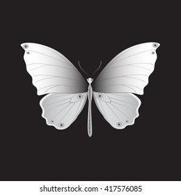Iron Butterfly, Vector illustration.