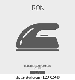 Iron flat icon