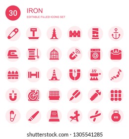 iron icon set. Collection of 30 filled iron icons included Safety pin, Weight, Eiffel tower, Fence, Guillotine, Iron, Yarn, Bird cage, Magnet, Laundry, Dumbbell, Frying pan, Embroidery