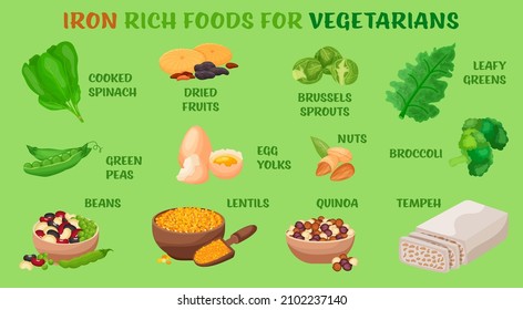 Iron Rich Foods For Vegetarians - Kale, Broccoli, Brussels Sprouts, Peas, Cooked Spinach, Quinoa, Nuts, Tempeh, Lentils. Vector Illustration Isolated On A Light Green Background. Healthy Food Poster
