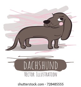 Ironic brown dachshund on white backround with pink scratches. Vector illustration.